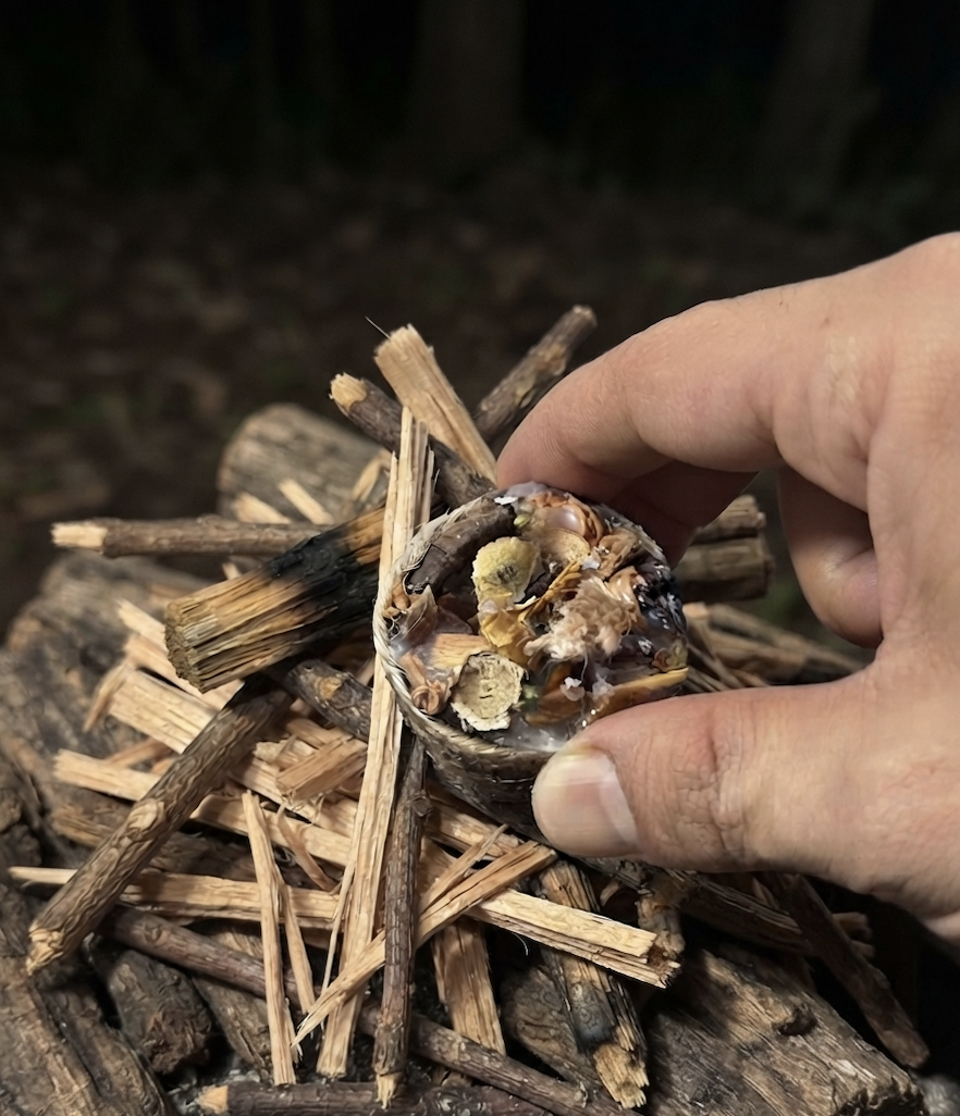 Handmade IgnFyr fire starters made from natural wood and wax